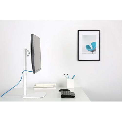 Newstar flat screen desk support up to 30" White